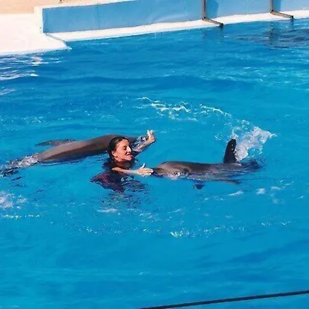 Villa Castelos, Quelfes, Eastern Algarve 8700-581